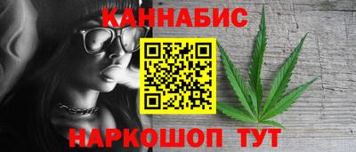 индика Гай