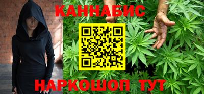 индика Гай