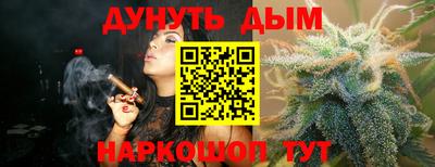 индика Гай