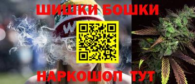 индика Гай