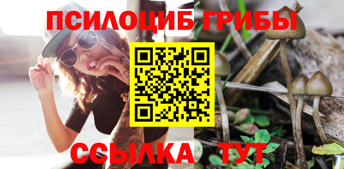 Мыски  Псилоцибиновые грибы MAGIC MUSHROOMS  Вход с VPN 